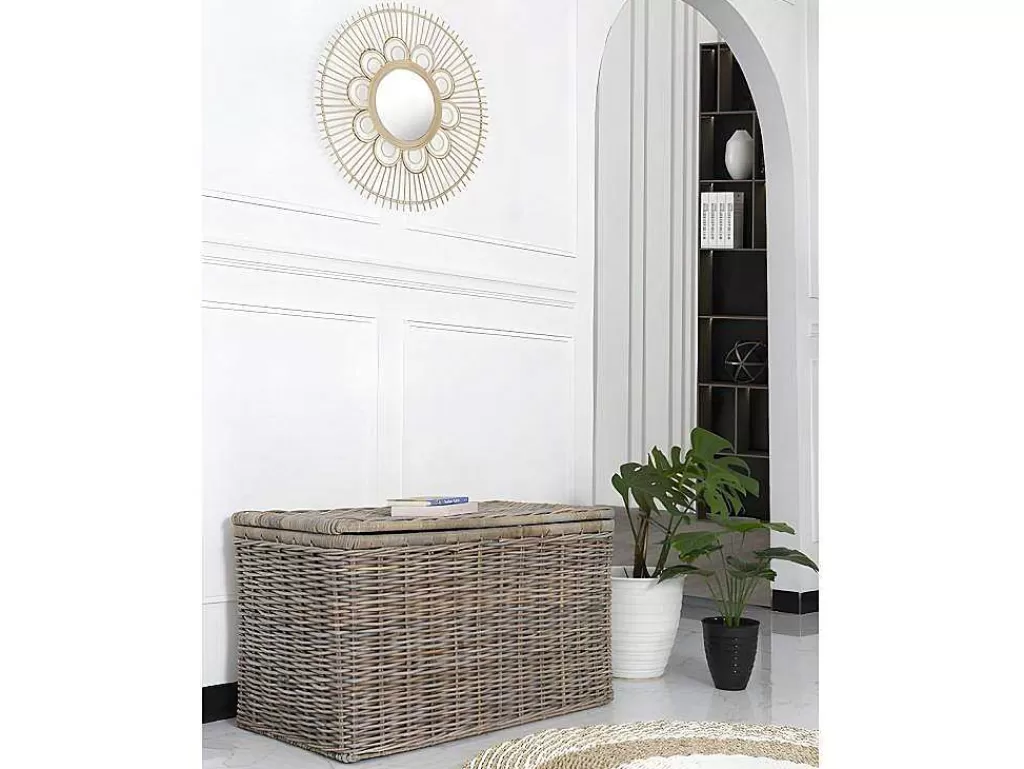Acessórios De Arrumação*OZAIA Arca De Arrumação Em Kubu De C100 X L55 X A55 Cm Cor Cinza Natural - Timgad
