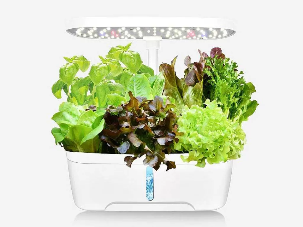 Floreira*Vente-unique Canteiro De Interior Com Leds 6 Plantas, Altura Ajustavel, Branco - Gardenio