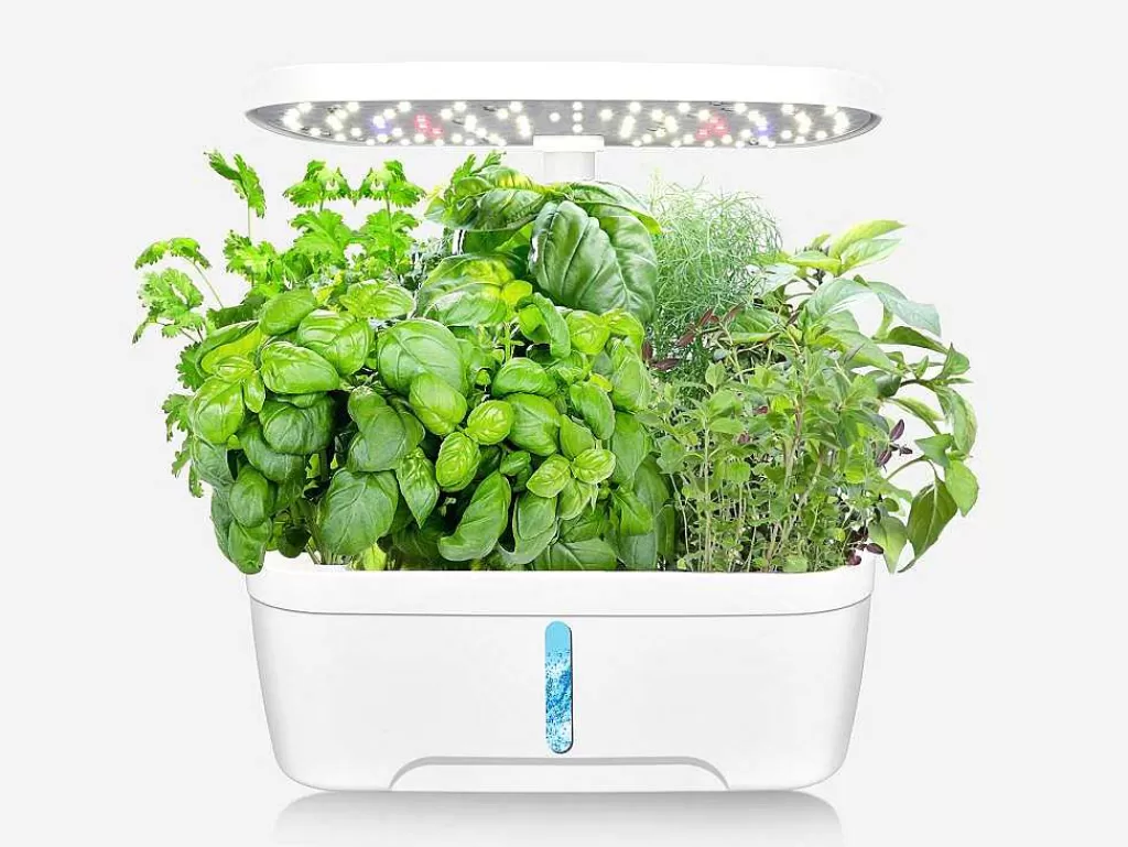 Floreira*Vente-unique Canteiro De Interior Com Leds 6 Plantas, Altura Ajustavel, Branco - Gardenio
