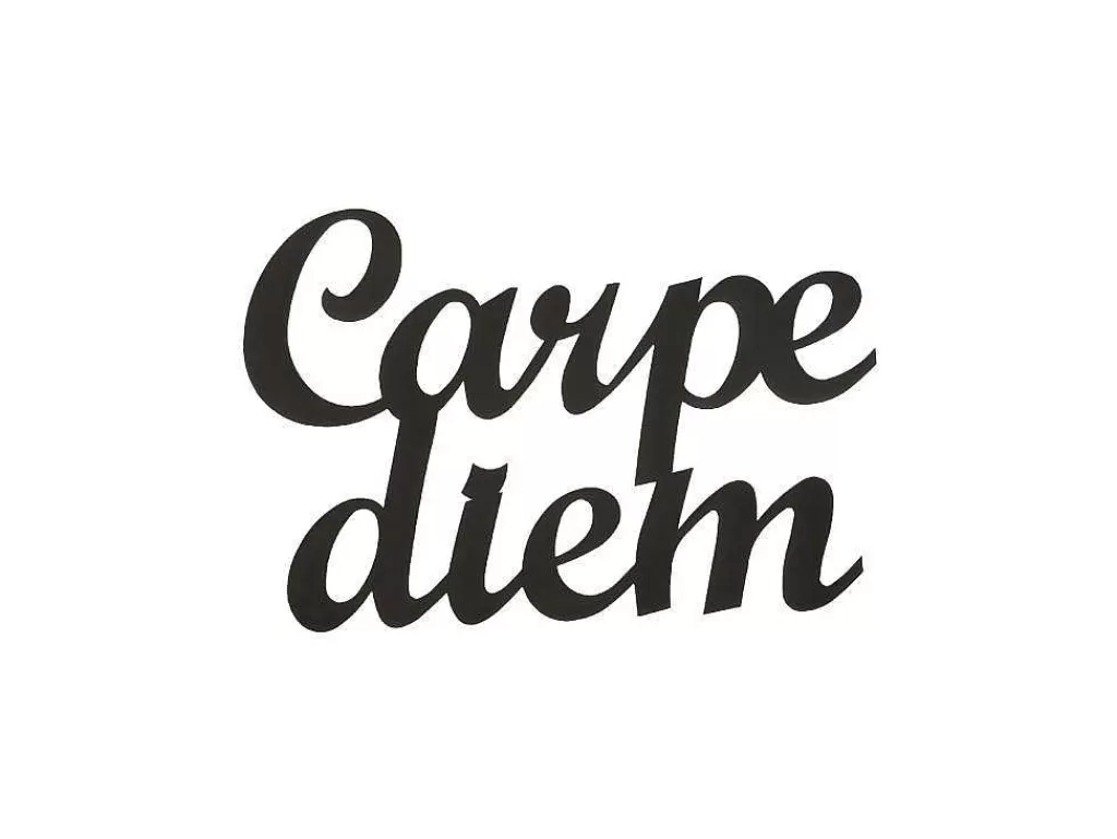 Placa De Parede Decorativa*EPIKASA Decoração Metalica Carpediem, Preto, 50X1,5X38 Cm,