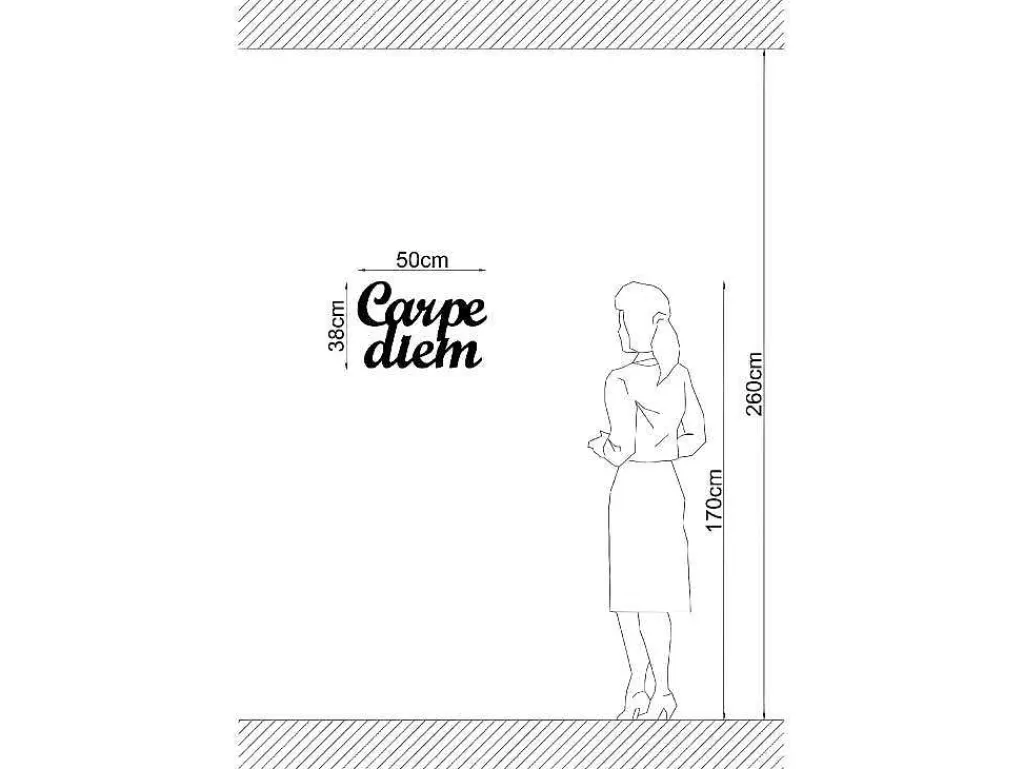 Placa De Parede Decorativa*EPIKASA Decoração Metalica Carpediem, Preto, 50X1,5X38 Cm,