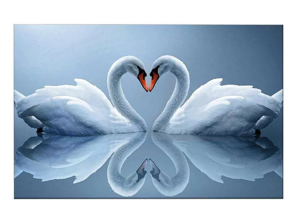 Placa De Parede Decorativa*EPIKASA Impressao Em Tela Cisne, Multicolorido, 150X3X100 Cm,