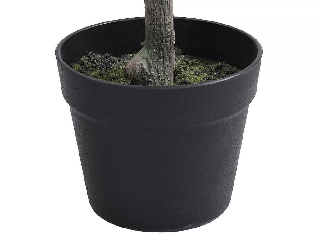 Planta Artificial*OZAIA Limoeiro Artificial Com Vaso A.120 - Berat