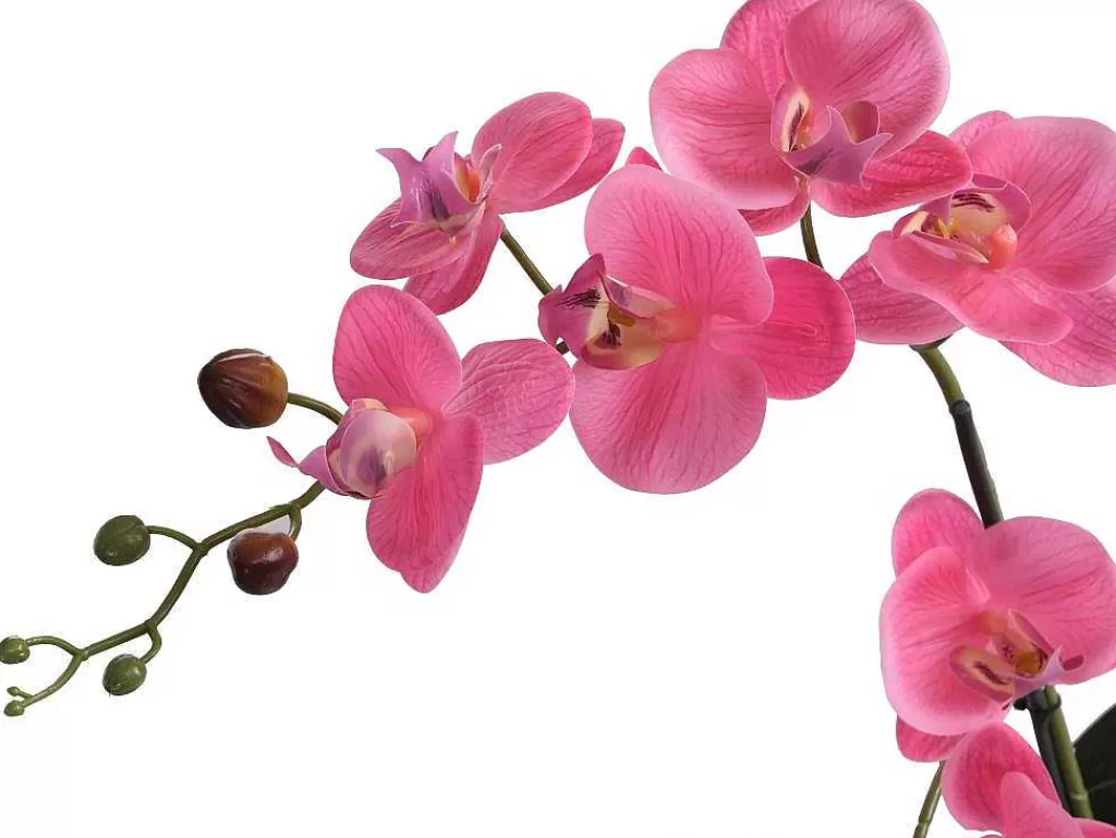 Planta Artificial*OZAIA Planta Artificial Orquidea Com Vaso Em Cimento A.55 X L.30 Cm Cor-De-Rosa - Riosane