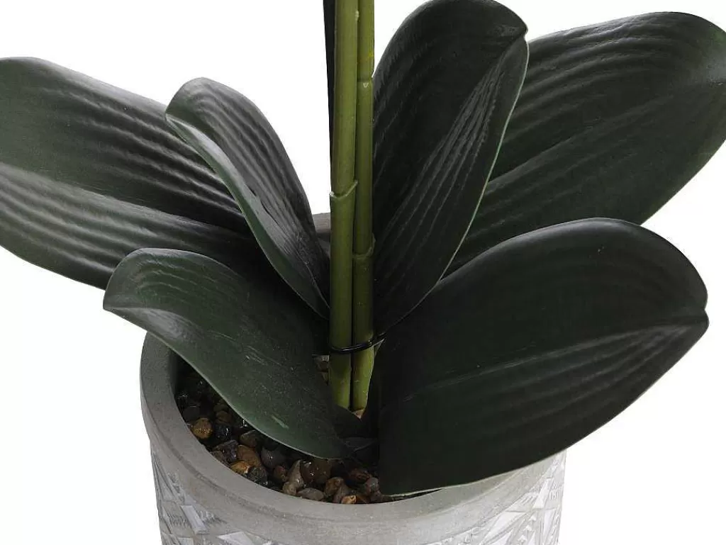 Planta Artificial*OZAIA Planta Artificial Orquidea Com Vaso Em Cimento A.55 X L.30 Cm Cor-De-Rosa - Riosane
