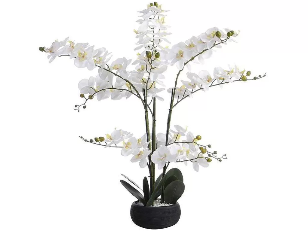 Planta Artificial*OZAIA Planta Artificial Orquidea Com Vaso Em Cimento A.65 X L.54 Cm Branco - Tara