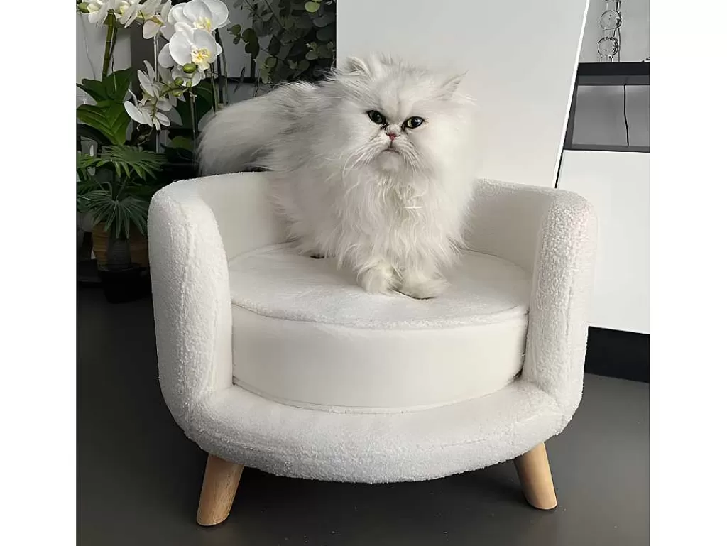 Acessórios Para Animais De Estimação*Vente-unique Sofá Para Animais Em Tecido Boucle E Pés De Madeira D.56 X A.35 Cm Branco - Misia