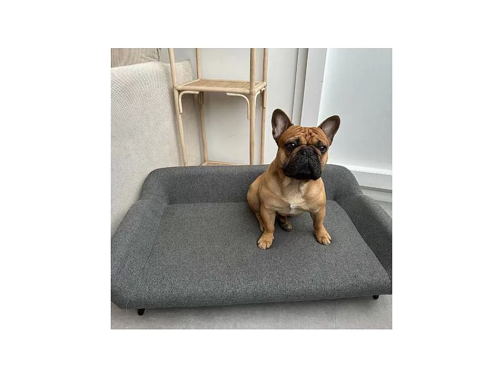Acessórios Para Animais De Estimação*Vente-unique Sofá Para Animais Em Tecido E Pés Em Metal C.99 X L.61 Cm Cinza - Zolia