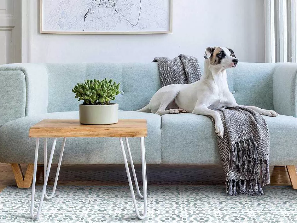 Tapete De Vinil*OZAIA Tapete Em Vinil Efeito Azulejo 120X180 Cm Azul E Branco - Princy